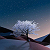 Post: #Featured