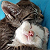 Post: