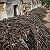 Post: At first, it looks like chaos… but it’s actually a turning point in history.Addis Ababa,...