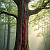 Poetry: The Bleeding TreeThere stands a tree that should not weep,yet it does.Its bark is split...
