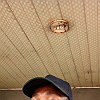 Daniel Maurice